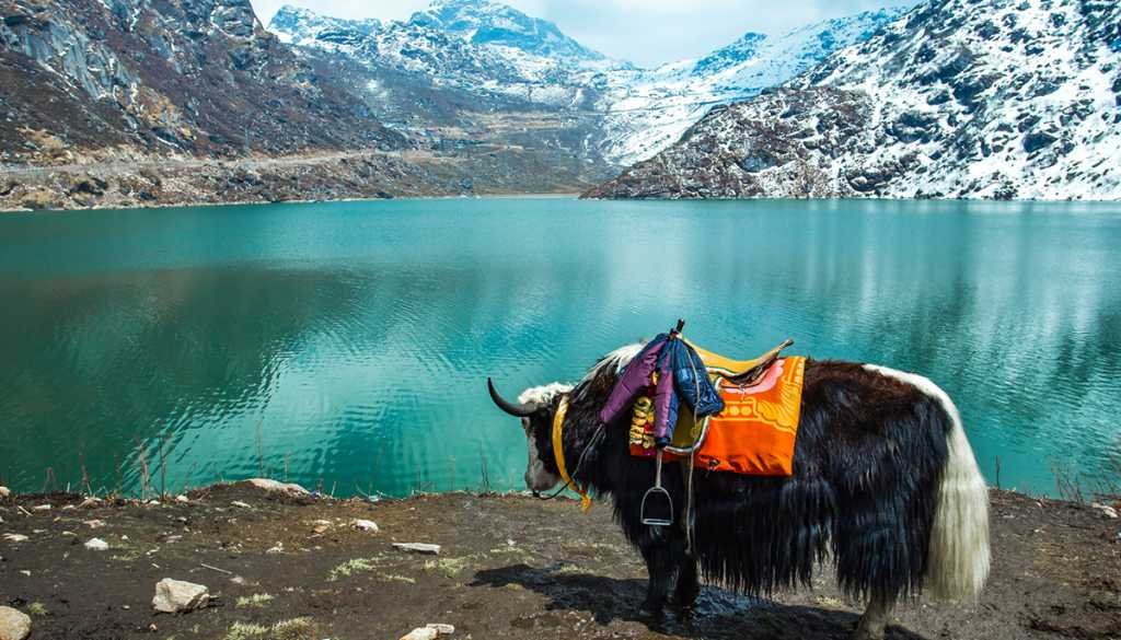 Sikkim And Darjeeling 6Nights 7 Days  2 Adults 